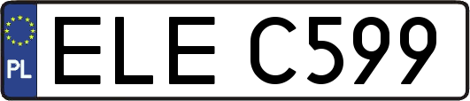 ELEC599