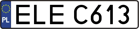 ELEC613
