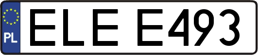 ELEE493