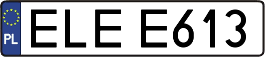 ELEE613