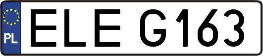 ELEG163