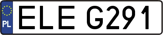 ELEG291