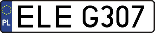 ELEG307