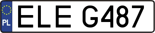 ELEG487