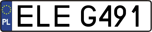 ELEG491