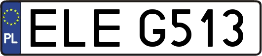 ELEG513