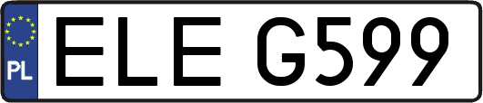 ELEG599