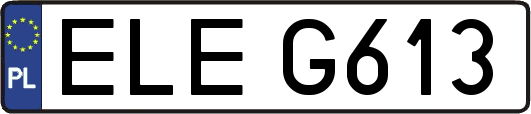 ELEG613