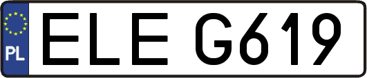 ELEG619