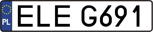 ELEG691