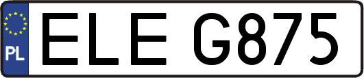 ELEG875