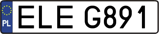 ELEG891