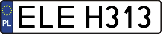 ELEH313