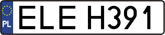 ELEH391