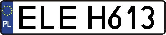 ELEH613