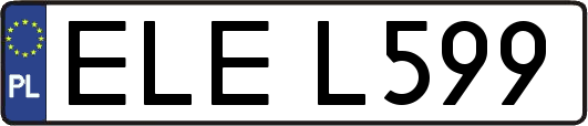 ELEL599