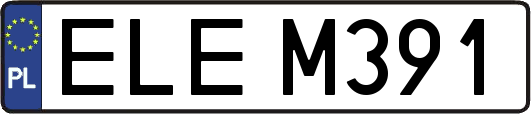 ELEM391