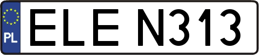 ELEN313
