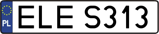 ELES313