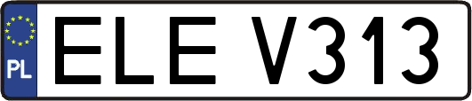 ELEV313