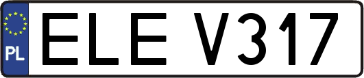 ELEV317