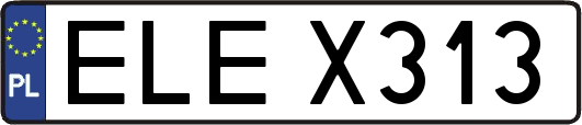 ELEX313