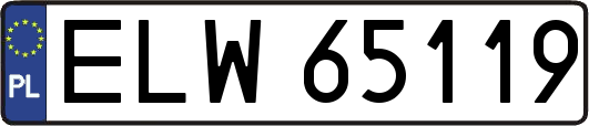 ELW65119