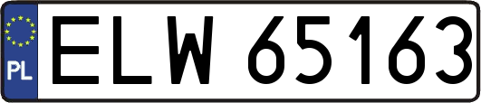 ELW65163