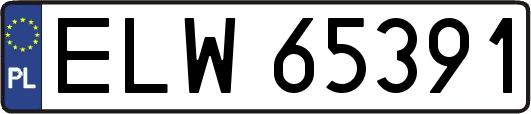 ELW65391