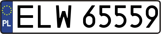 ELW65559