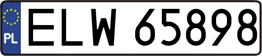 ELW65898