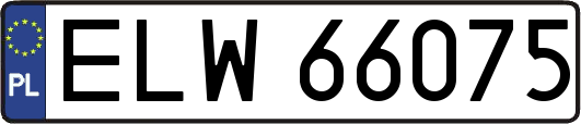 ELW66075