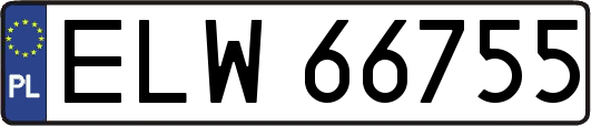 ELW66755