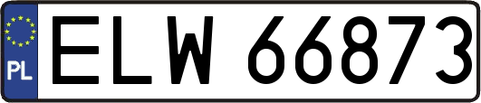 ELW66873