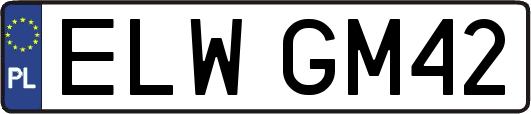ELWGM42