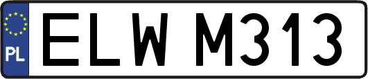 ELWM313