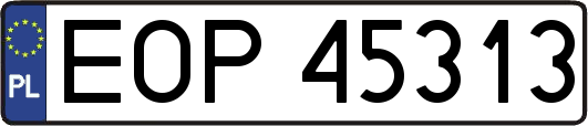 EOP45313