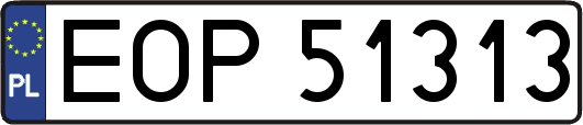 EOP51313