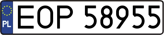 EOP58955