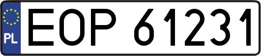 EOP61231