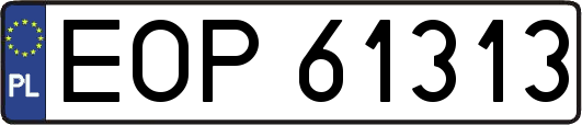 EOP61313
