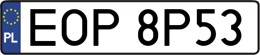 EOP8P53