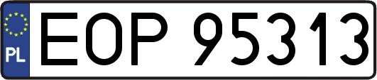 EOP95313
