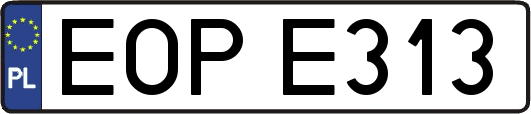 EOPE313