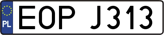 EOPJ313