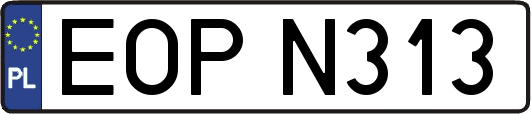 EOPN313