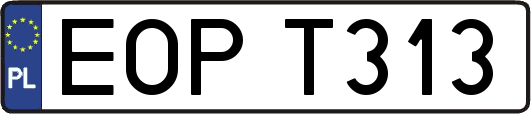 EOPT313