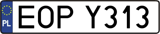 EOPY313