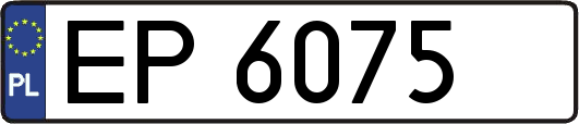 EP6075