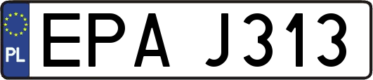 EPAJ313